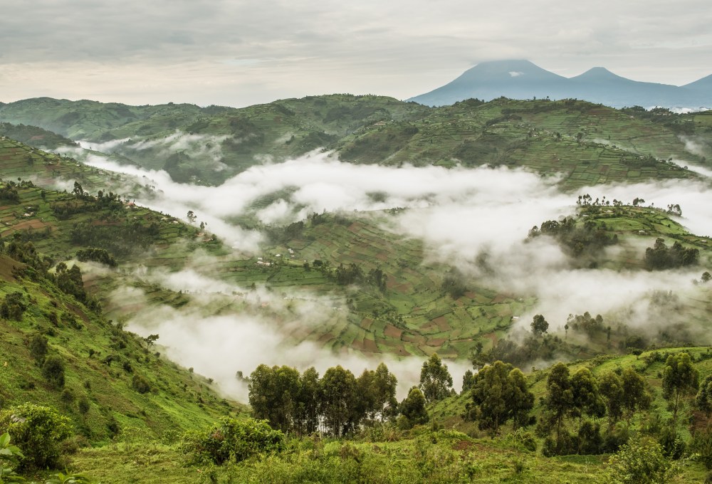 Fahrt in den Bwindi-Impenetrable-Nationalpark & Kochkurs